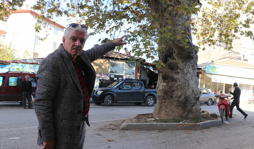 Görenlerin ilgisini çekiyor, geçmişte darağacı olarak kullanıldığı söyleniyor