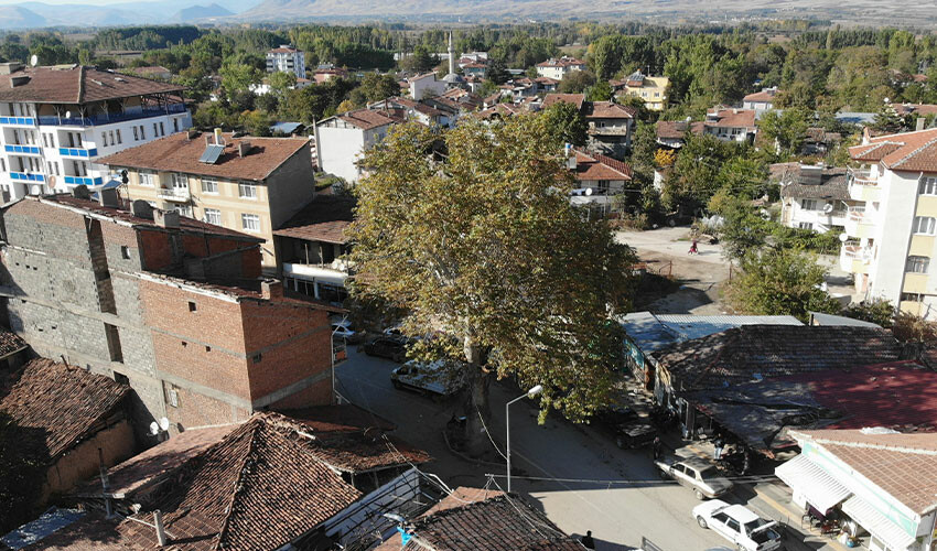 Görenlerin ilgisini çekiyor, geçmişte darağacı olarak kullanıldığı söyleniyor