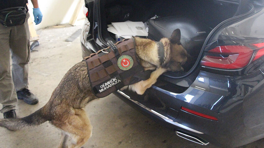 Kapıkule'den Türkiye'ye girmek istedi: Büyükelçilik aracında 54 kilo 912 gram uyuşturucu çıktı