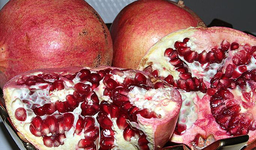 Nar hasadı başladı! Tarla fiyatı 13 TL: Bazı işçiler yevmiyeden memnun değil