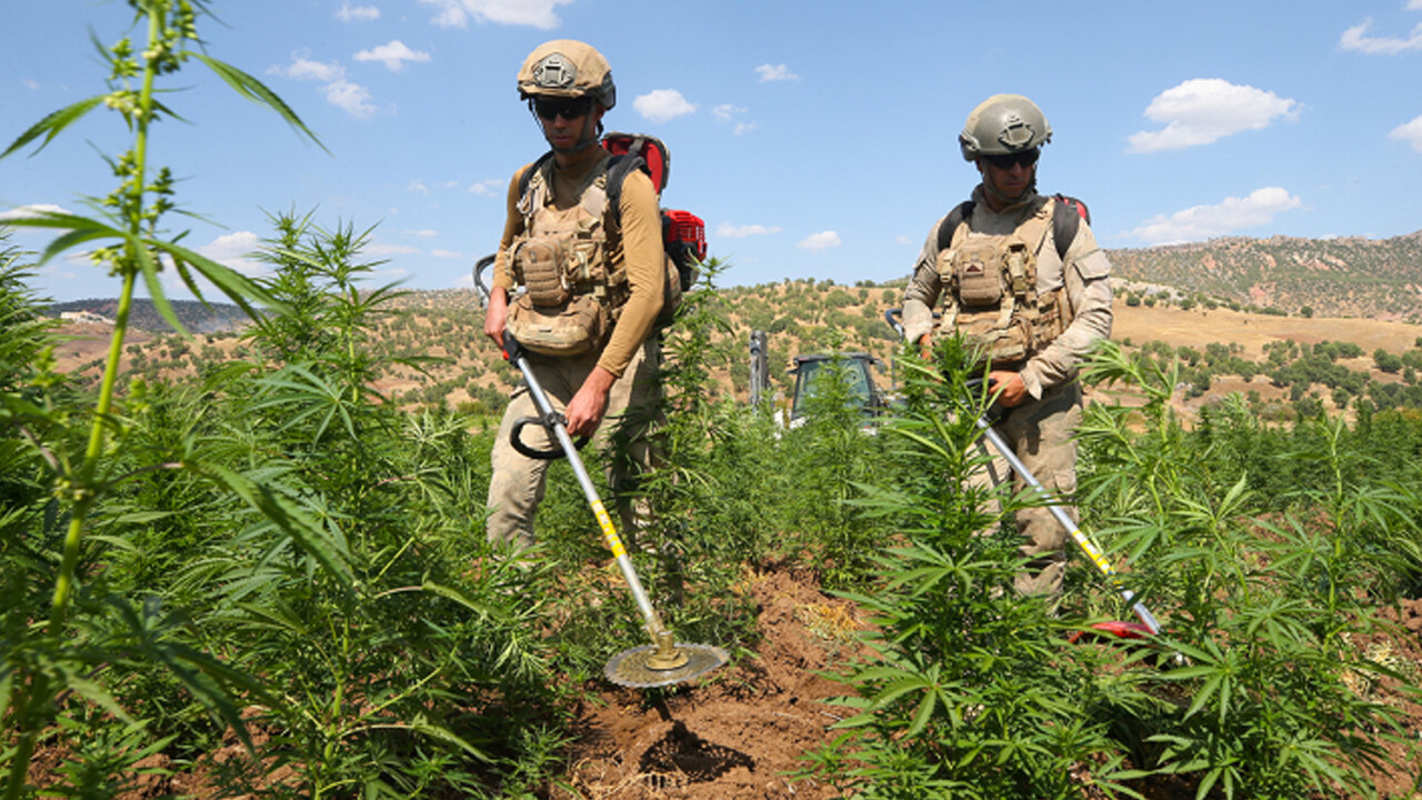 Zehir tacirlerine darbe:1 ton 354 kilogram esrar yakalandı