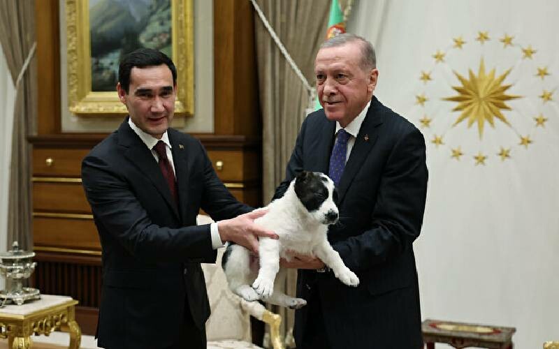 Cumhurbaşkanı Erdoğan ve Türkmenistan lideri arasında gülümseten kareler: Alabay’ı aldı Kangal’ı verdi! Cumhurbaşkanı Erdoğan ve Türkmenistan lideri arasında gülümseten kareler: Alabay’ı aldı Kangal’ı verdi!