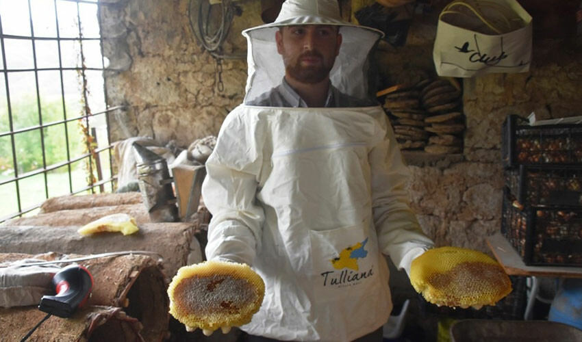 Altın bal ödülü sahibi! Kara kovan balında hasat başladı: Kilosu 1000 lira