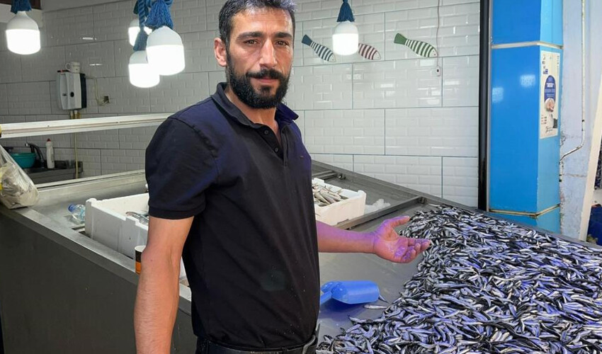 Havalar ısındı, balık fiyatları 2 kat arttı: 'Nereye gittiklerini balıkçılar henüz bilmiyor'