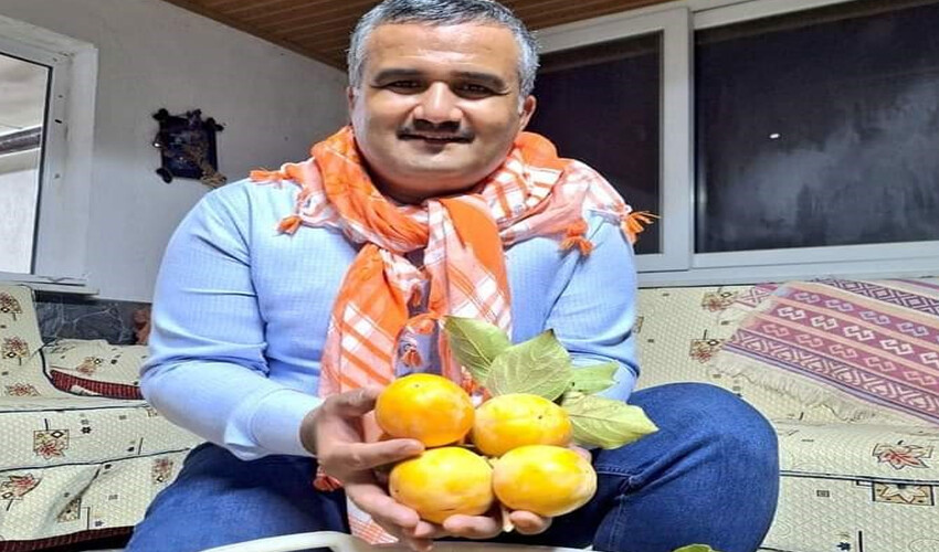 Cennet elması hasadı başladı: Önce iplere diziliyor, kurutulunca değerine değer katıyor