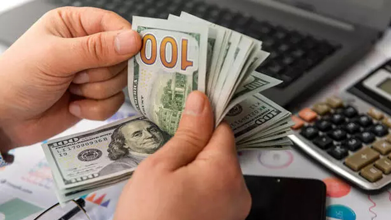 Dünyaca ünlü ekonomist: Dolar 21 lira olmalı Dünyaca ünlü ekonomist: Dolar 21 lira olmalı