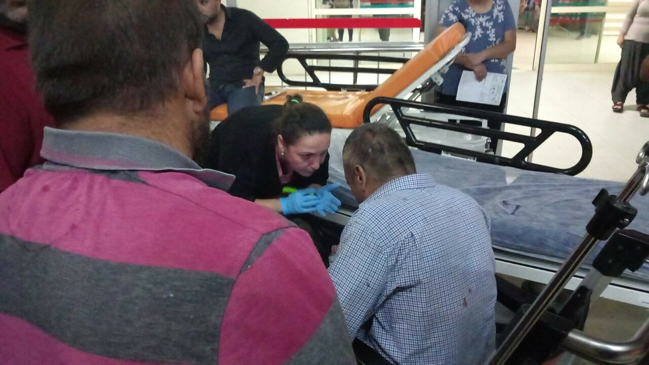 Yola fırlayan köpekler faciaya neden oldu: 1 ölü, 2 yaralı