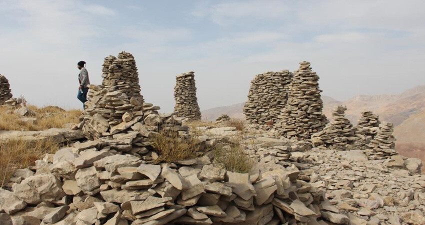 Pancar toplamaya giden köylüler buldu! 2 bin metre yükseklikte, Orta Asya'da yaygın ama Adıyaman'da görüldü