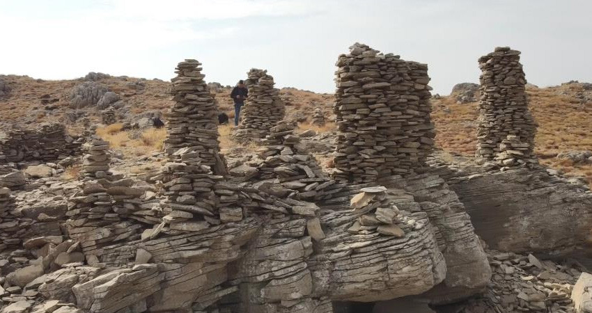 Pancar toplamaya giden köylüler buldu! 2 bin metre yükseklikte, Orta Asya'da yaygın ama Adıyaman'da görüldü