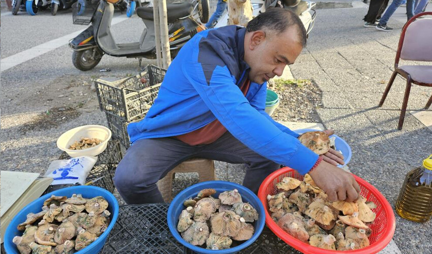Kırmızı melki sezonu başladı: Fiyatı sevenlerini üzdü! Kırmızı melki sezonu başladı: Fiyatı sevenlerini üzdü!