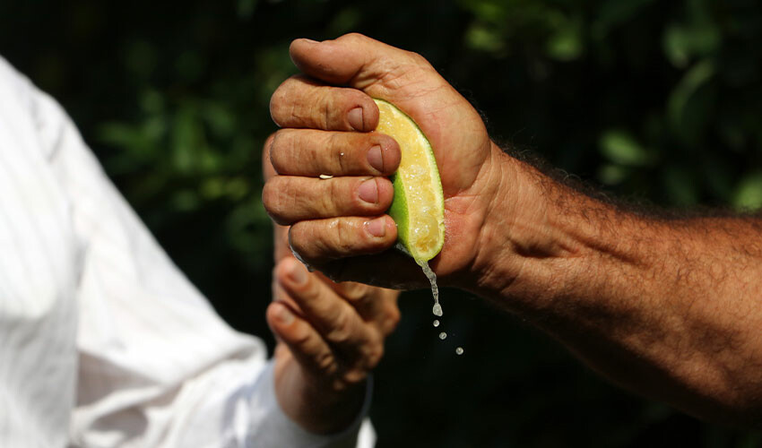 Limon ağaçta kaldı! Üreticiden limonata çağrısı geldi: Bütün kurumlarda içilmeli Limon ağaçta kaldı! Üreticiden limonata çağrısı geldi: Bütün kurumlarda içilmeli