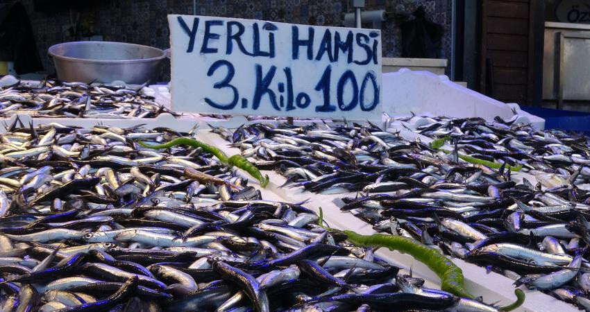 Yerli hamsi yüz güldürdü: 3 Kilosu 100 TL, kilosu 35 TL Yerli hamsi yüz güldürdü: 3 Kilosu 100 TL, kilosu 35 TL