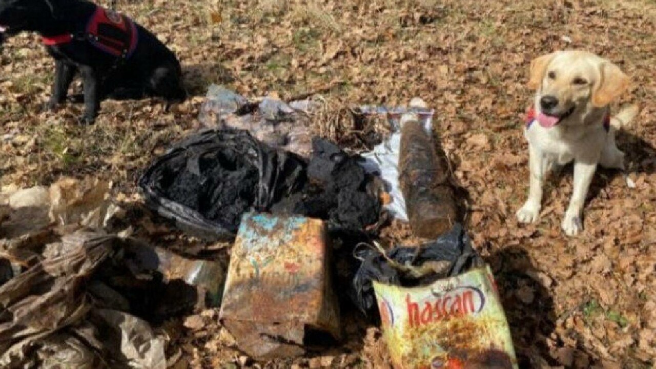 Muş’ta PKK’ya darbe! Çok sayıda mühimmat ele geçirildi Muş’ta PKK’ya darbe! Çok sayıda mühimmat ele geçirildi