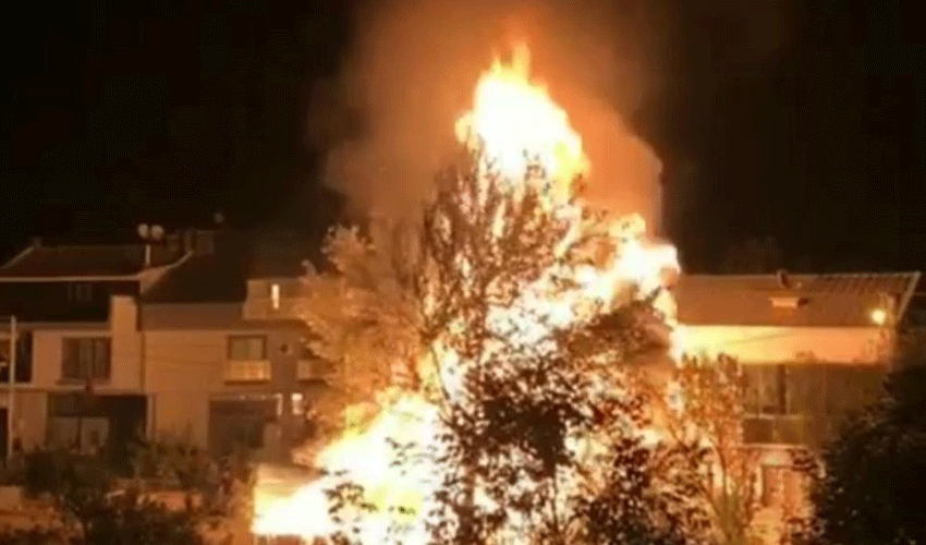 Bursa'da korku dolu anlar! Ağaçlık alanda yangın çıktı