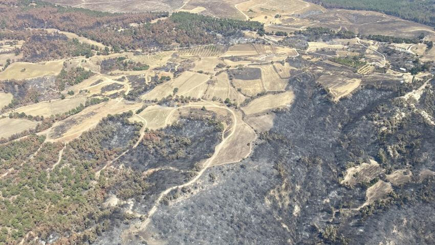 Çanakkale'deki 3 büyük orman yangınında 10 bin 612 futbol sahası büyüklüğündeki alan küle döndü alan yandı Çanakkale'deki 3 büyük orman yangınında 10 bin 612 futbol sahası büyüklüğündeki alan küle döndü alan yandı