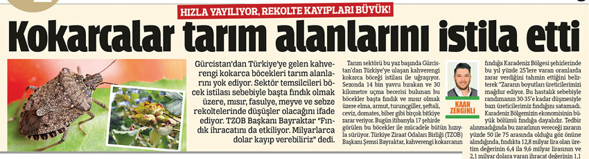 Kokarcaya karşı acil eylem planı