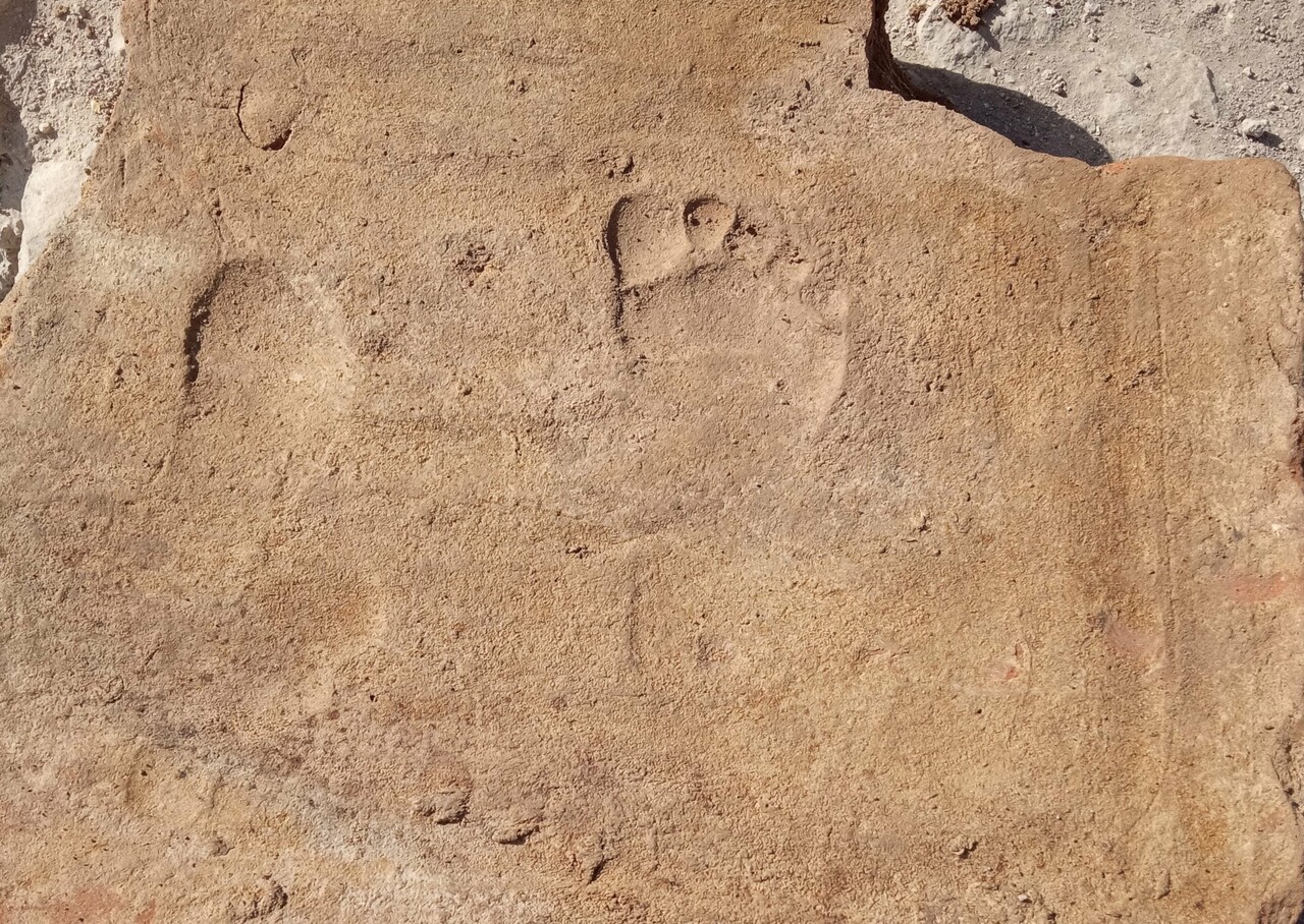 Gladyatörler kenti Muğla'da 1900 yıllık çocuk ayak izleri gün yüzüne çıkarıldı Gladyatörler kenti Muğla'da 1900 yıllık çocuk ayak izleri gün yüzüne çıkarıldı