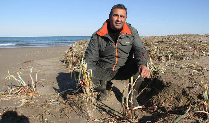 Nesli tükenme tehlikesinde! Şiddetli fırtına binlerce liralık çiçekleri talan etti Nesli tükenme tehlikesinde! Şiddetli fırtına binlerce liralık çiçekleri talan etti
