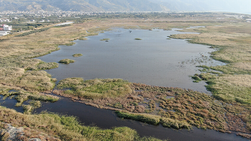 Son yağışlar, yok olma noktasına gelen kuş cennetine can suyu oldu Son yağışlar, yok olma noktasına gelen kuş cennetine can suyu oldu