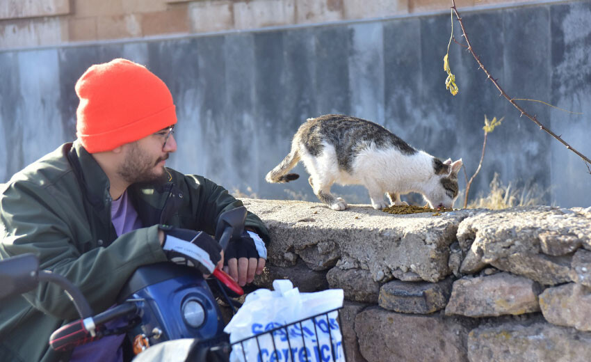 Engelli genç 10 yıldır sokak hayvanlarına kol kanat geriyor