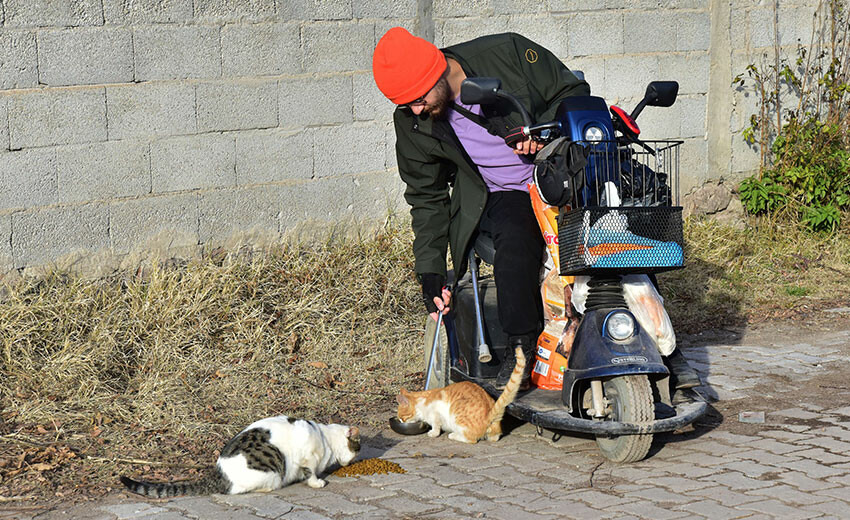 Engelli genç 10 yıldır sokak hayvanlarına kol kanat geriyor