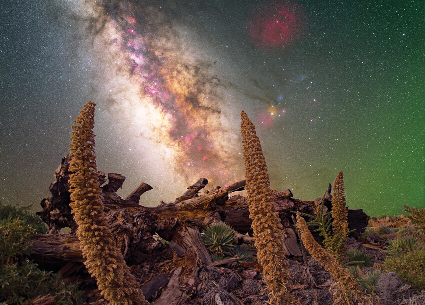 Bir kare fotoğraf için 3 gece nöbette