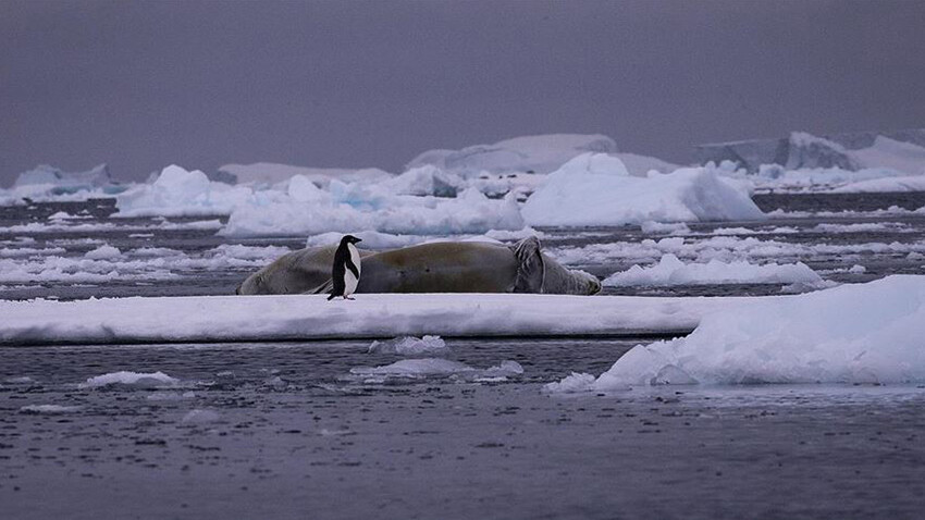 İklim değişikliğinin etkileri arttı: 2011-2020 dönemi, dünyanın en sıcak 10 yılı oldu