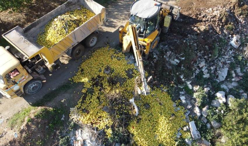 Adana’da tepki çeken görüntü! Tonlarca limon dere yatağına döküldü Adana’da tepki çeken görüntü! Tonlarca limon dere yatağına döküldü