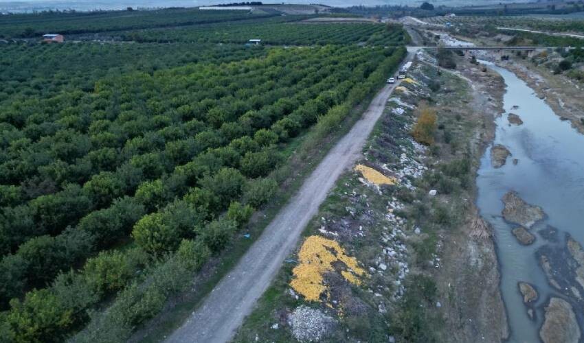Adana’da tepki çeken görüntü! Tonlarca limon dere yatağına döküldü Adana’da tepki çeken görüntü! Tonlarca limon dere yatağına döküldü
