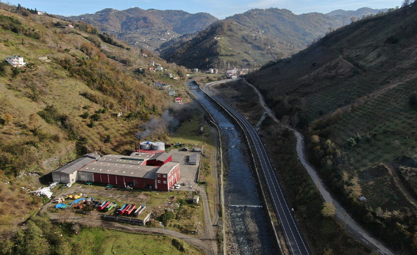 Hamsi kokan ilçede yöre sakinleri canından bezdi! Çamaşırları bile balık kokusundan nasibini aldı