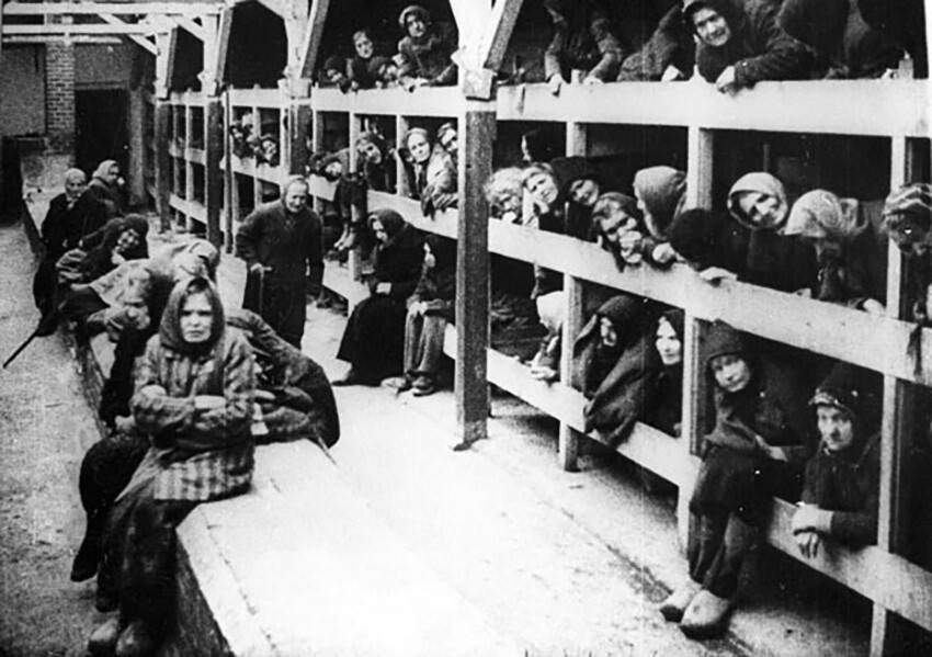 Auschwitz değil Gazze! Filistinlilere Nazilerden farksız davranan İsrail masum sivilleri soyarak işkence ediyor Auschwitz değil Gazze! Filistinlilere Nazilerden farksız davranan İsrail masum sivilleri soyarak işkence ediyor
