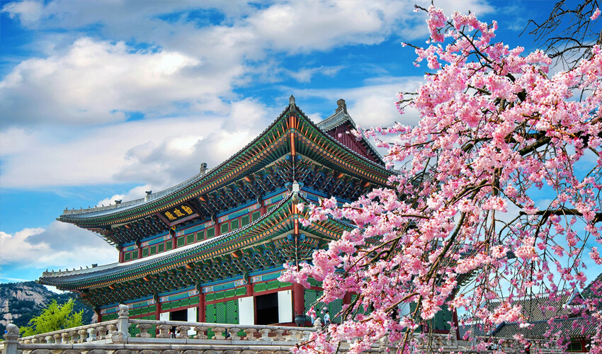 Vizesiz yurtdışı tatili düşünenlerin seçenekleri artıyor! Bu listeye bakmadan plan yapmayın Vizesiz yurtdışı tatili düşünenlerin seçenekleri artıyor! Bu listeye bakmadan plan yapmayın