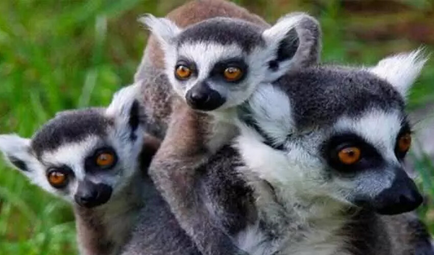 Vizesiz yurtdışı tatili düşünenlerin seçenekleri artıyor! Bu listeye bakmadan plan yapmayın Vizesiz yurtdışı tatili düşünenlerin seçenekleri artıyor! Bu listeye bakmadan plan yapmayın