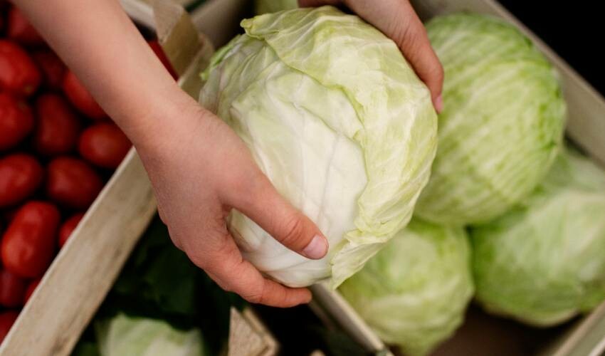 Canan Karatay bas bas bağırarak duyurdu, bu besini yiyen 95 yaşını görüyor! Hasadı başladı hemen pazardan alın Canan Karatay bas bas bağırarak duyurdu, bu besini yiyen 95 yaşını görüyor! Hasadı başladı hemen pazardan alın