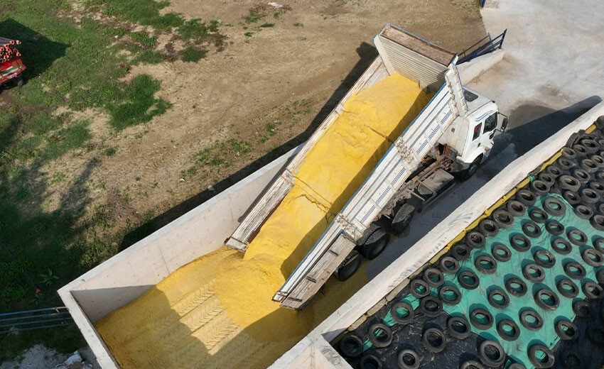 Mühendisliği bırakıp çiftlik kurdular, şimdi hem ucuz hem doğal et üretiyorlar