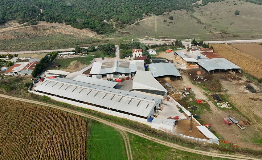 Mühendisliği bırakıp çiftlik kurdular, şimdi hem ucuz hem doğal et üretiyorlar