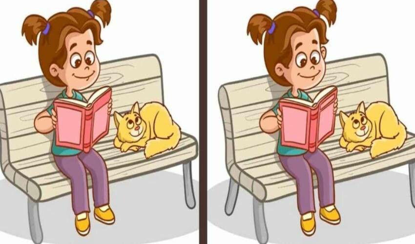 Optik illüzyon zeka testi: Bankta oturup kitap okuyan iki kız arasındaki 3 farkı sadece yüksek IQ'su olanlar 10 saniyede buluyor Optik illüzyon zeka testi: Bankta oturup kitap okuyan iki kız arasındaki 3 farkı sadece yüksek IQ'su olanlar 10 saniyede buluyor