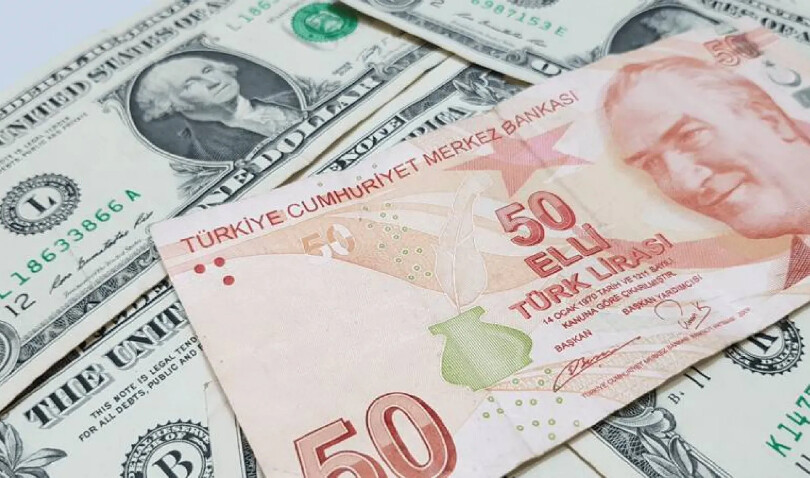 Dolar 29 lirayı aşarak rekor tazeledi