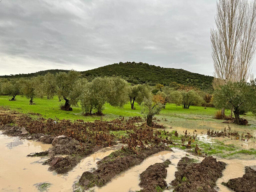 Dereler taştı, mahalleler su altında kaldı, İstanbul'da da başladı... Şiddetli yağış tam 38 saat sürecek!
