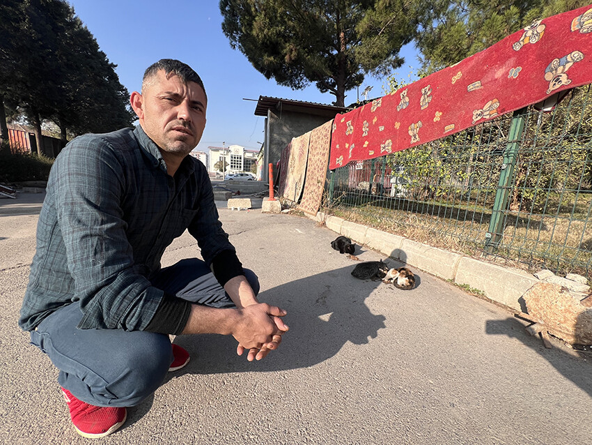 Kendisi gibi depremzede kedilere gözü gibi bakıyor