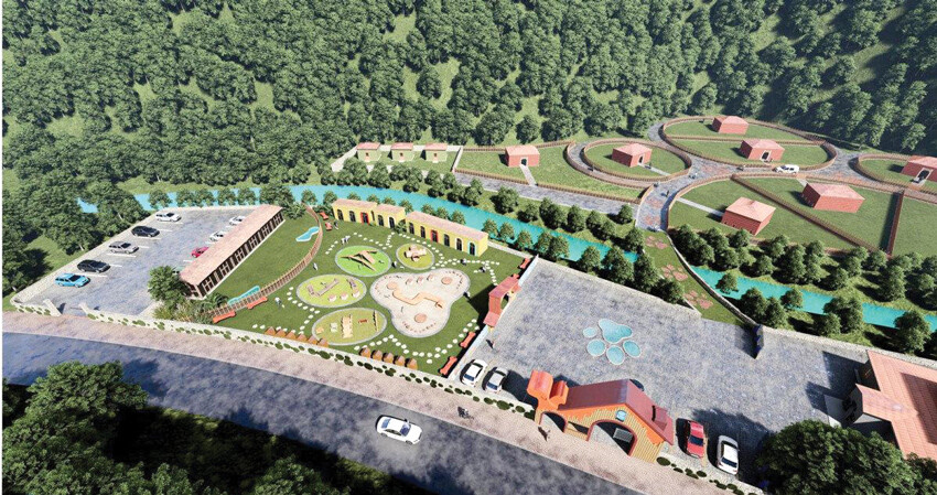 81 ile ‘kedi ve köpek köyü’ kurulacak