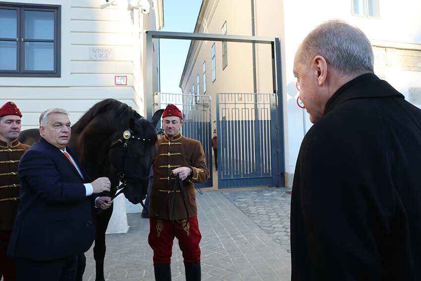 Tartışmalı AB zirvesi sonrası kritik temas! Erdoğan TOGG, Orban da Macar atı hediye etti Tartışmalı AB zirvesi sonrası kritik temas! Erdoğan TOGG, Orban da Macar atı hediye etti