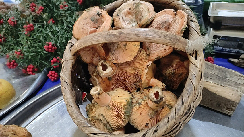 Kabus geri döndü, vakalar patladı! Karaciğer nakline kadar götürebilir Kabus geri döndü, vakalar patladı! Karaciğer nakline kadar götürebilir