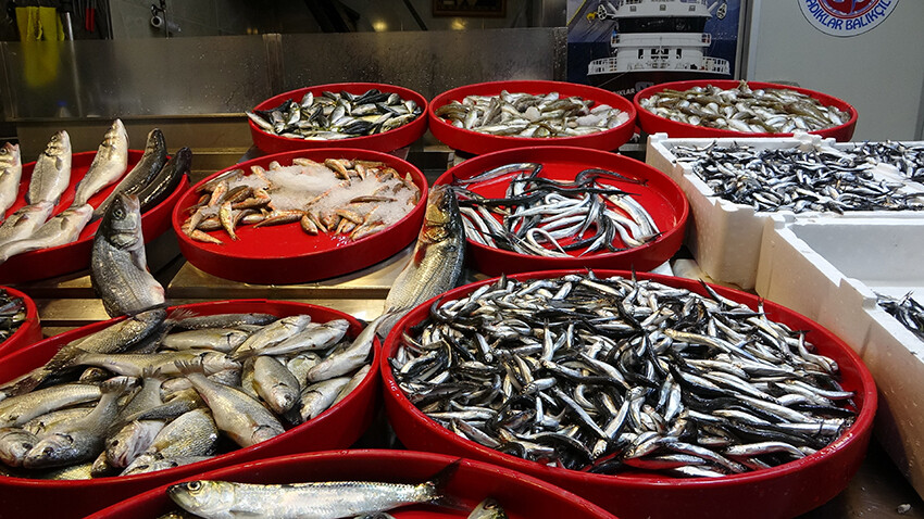 Karadeniz böyle bolluk görmedi! Hamside son 25 yılın rekoru
