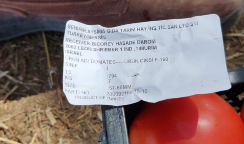 'İsrail ordusuna domates sattı' iddiası Saadet Partili başkanı görevinden etti 'İsrail ordusuna domates sattı' iddiası Saadet Partili başkanı görevinden etti