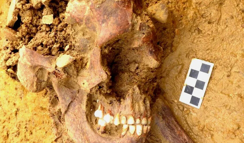 2 bin yıl önce ölen adamın 6 yaşında ne yediği bile keşfedildi 2 bin yıllık iskelet