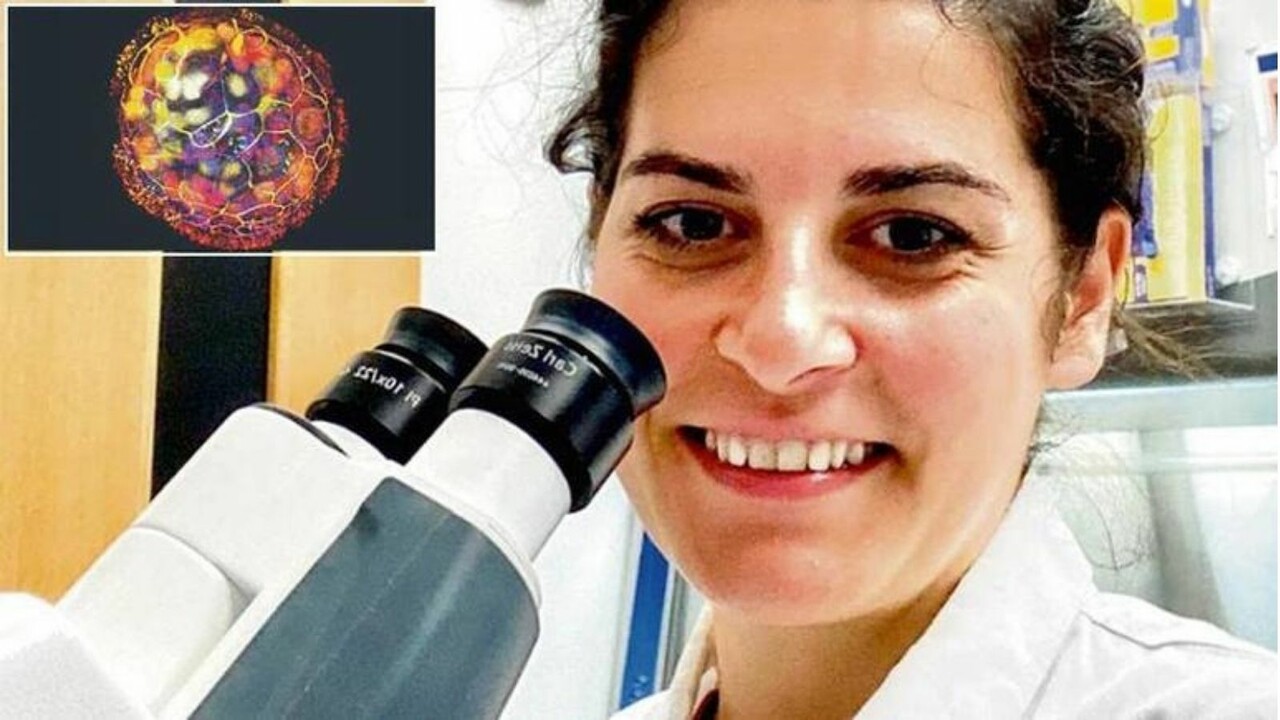 Türk bilim insanından cığır açan buluş! İnsan hücrelerinden canlı robot üretti Türk bilim insanından cığır açan buluş! İnsan hücrelerinden canlı robot üretti