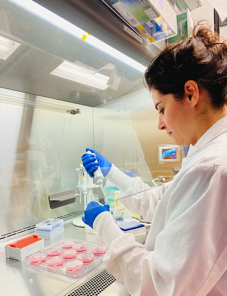 Türk bilim insanından cığır açan buluş! İnsan hücrelerinden canlı robot üretti Türk bilim insanından cığır açan buluş! İnsan hücrelerinden canlı robot üretti