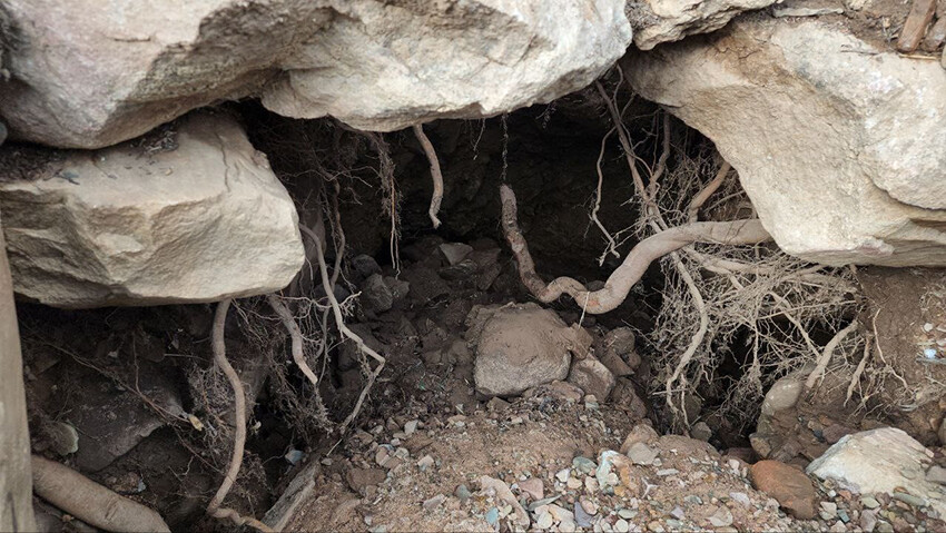 Yeni bir depremin habercisi mi? Hatay'da deprem bölgesinden çıktı, rengi simsiyah... Yeni bir depremin habercisi mi? Hatay'da deprem bölgesinden çıktı, rengi simsiyah...