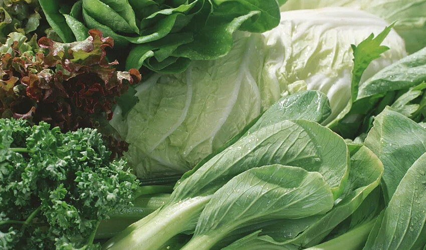 100 yaşını görmek hayal değil… Uzmanı ‘Hemen beslenmenize ekleyin’ deyip açıkladı